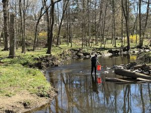 55206343719 46d5b65d33 b